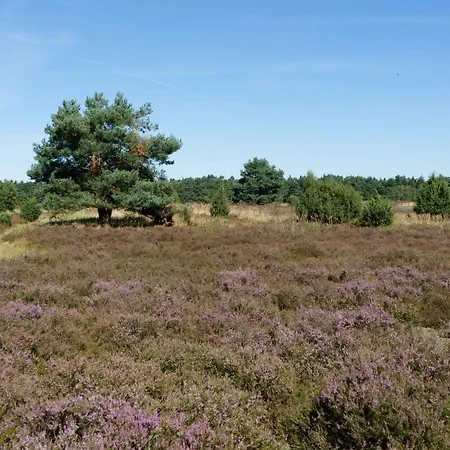 Camping-aller-leine-tal Kemping Engehausen